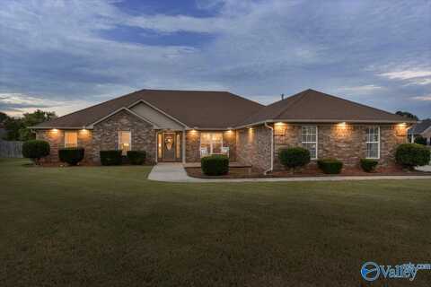 14631 Indigo Court, Harvest, AL 35749