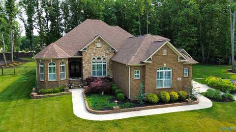 60 Natures Ridge Way, Huntsville, AL 35803