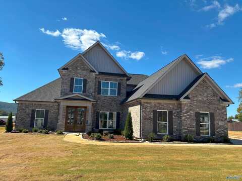 201 Oakland View Drive, Brownsboro, AL 35741