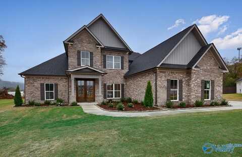 201 Oakland View Drive, Brownsboro, AL 35741