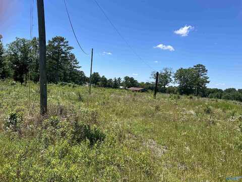 Lot 1 Wrenn Road, Boaz, AL 35956