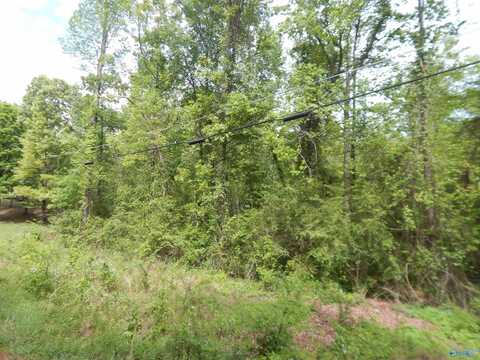 .51 Acres Rita Street, Southside, AL 35907