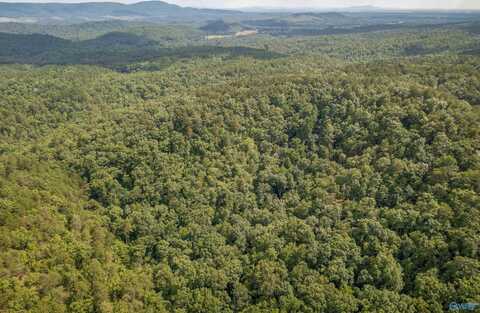 20 Acres County Road 97, Gaylesville, AL 35973