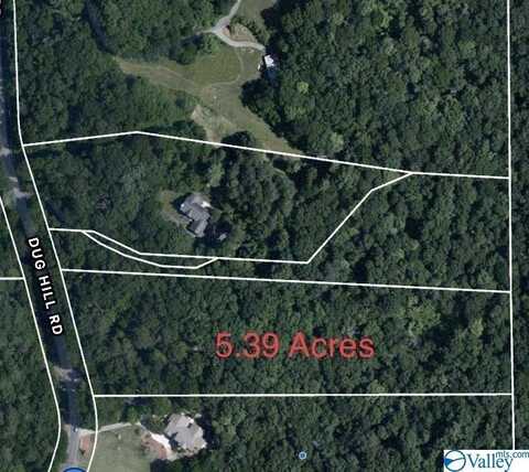 5.39 Acres Dug Hill Road, Brownsboro, AL 35741