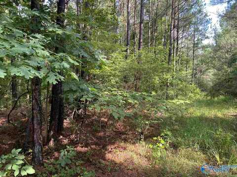 119 Acres Sandoak Road, Hamilton, AL 35570