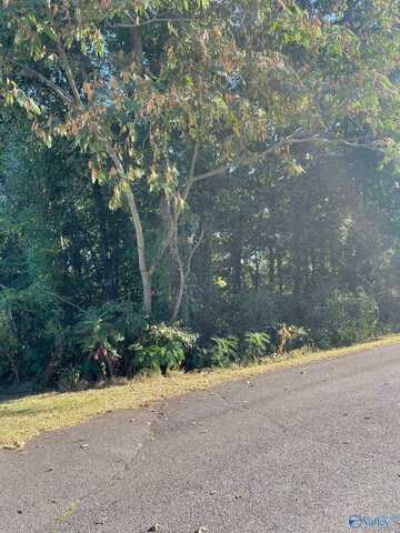 Lot 10 Rayburn Avenue, Guntersville, AL 35976