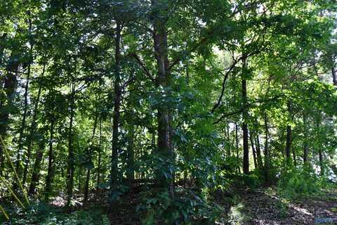 Tract A Scenic Highway, Gadsden, AL 35904