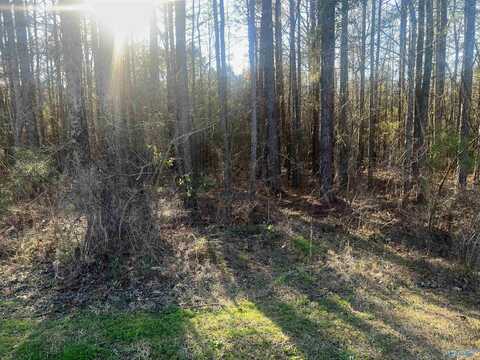 Lot 3 Summer Breeze Drive, Cedar Bluff, AL 35959