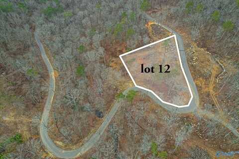 2816 Wyeth Drive, Guntersville, AL 35976