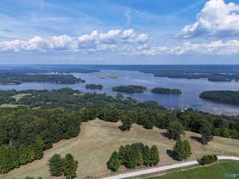 12 Acres Guffey Road, Scottsboro, AL 35769