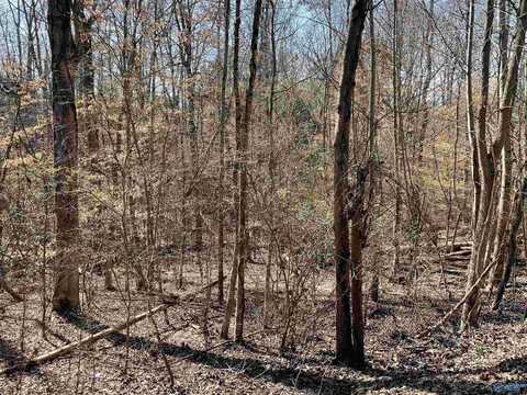 Lot 15 Cardinal Drive, Guntersville, AL 35976