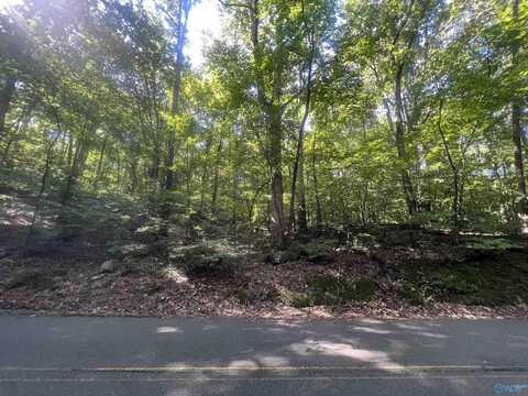 Lot 91 And 92 Wyeth Drive, Guntersville, AL 35976