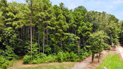 3832 S Woodtrail, Decatur, AL 35603