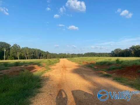 11.4 Ares Wilson Lake Drive, Muscle Shoals, AL 35661