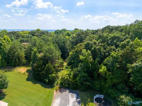 25 Acres Anna Drive SW, Decatur, AL 35603