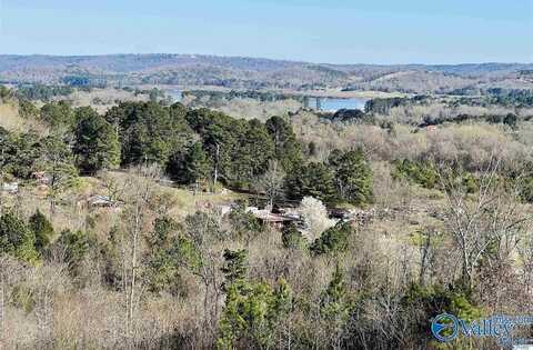 1161 Bakers Chapel Lane, Guntersville, AL 35976