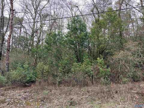 Lot #6 & #7 Shannon Drive, Gadsden, AL 35904