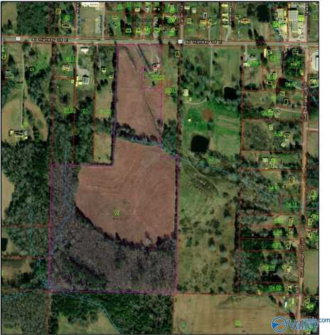 54 Acres Highway 36, Hartselle, AL 35640