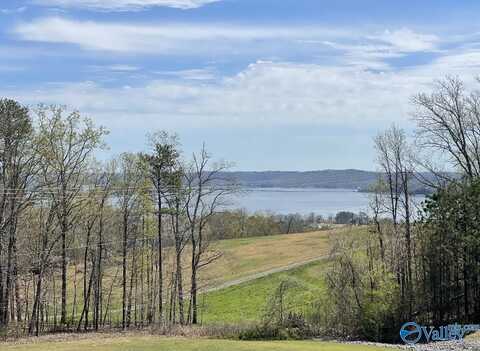 42 Legendary Drive, Guntersville, AL 35976