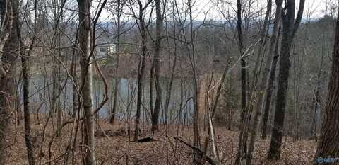 Lot 72 County Road 839, Mentone, AL 35984