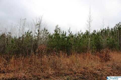 Lot 7 Quail Drive, Centre, AL 35960