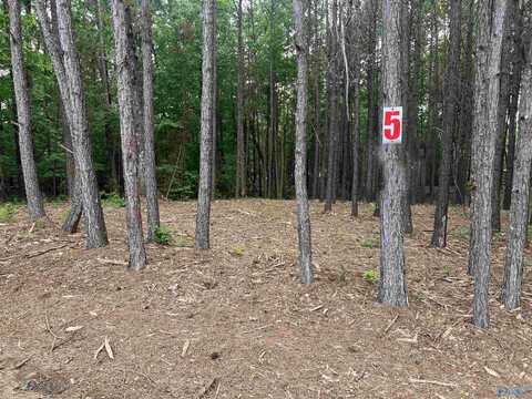 Lot 5 Arrowhead Drive, Jasper, AL 35504