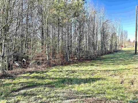 Lot W Hwy 53, Ardmore, AL 35739