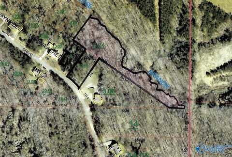 Lot 2 Bright Drive, Blountsville, AL 35031