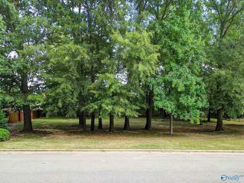 Lot 12 Jarvis Street SW, Decatur, AL 35603