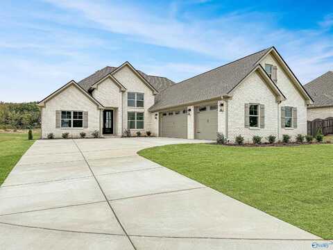 17205 Blue Briar Circle, Athens, AL 35611