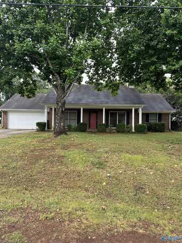 161 NW Raspberry Way, Madison, AL 35757