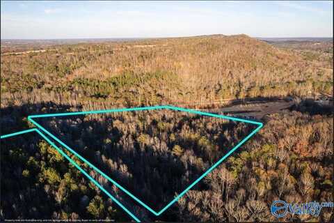 20 Acres 0 County Highway 41, Altoona, AL 35952