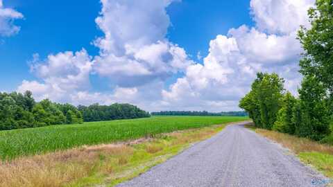 71 Acres County Road 62, Section, AL 35771