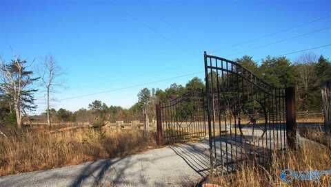 .98 Acres County Road 89, Mentone, AL 35984