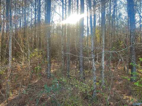 Lot 4 Summer Breeze Drive, Cedar Bluff, AL 35959