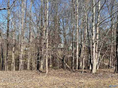 Lot18 Lot 18 Deer Walk, Guntersville, AL 35976