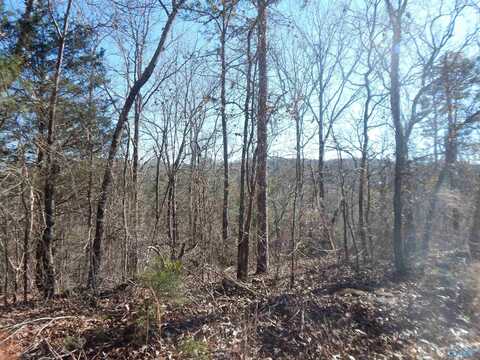 16.3 Acres Off U S Highway 278 W, Altoona, AL 35952