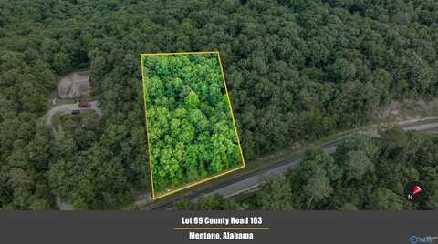 Lot 69 County Road 103, Mentone, AL 35984