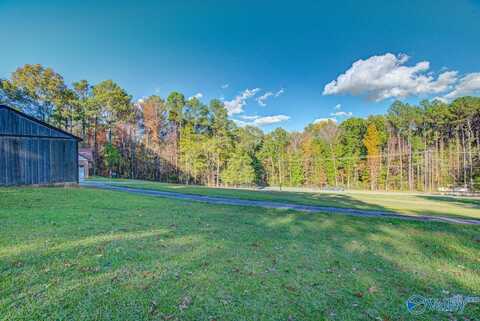 1757 East Upper River Road, Decatur, AL 35603