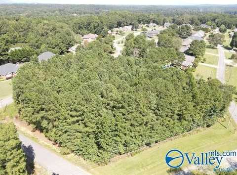 0.46 Whorton Bend Road, Gadsden, AL 35901