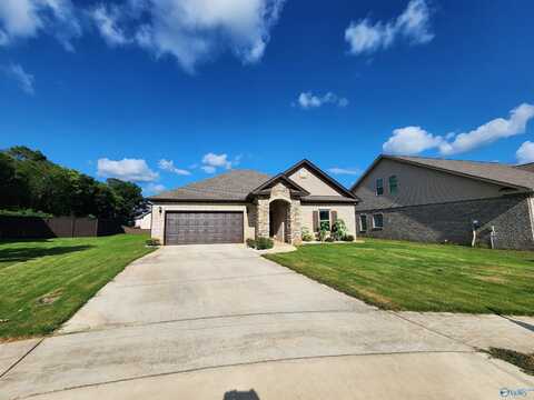 243 Portrait Street, Meridianville, AL 35759