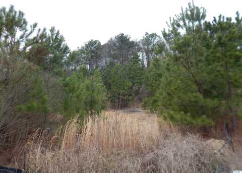 59.61 Acres Faith School Road, Mc Calla, AL 35111