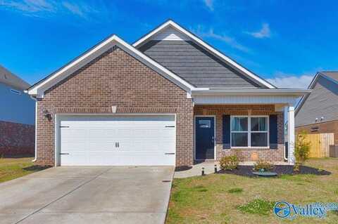 132 Morning Dew Road, Toney, AL 35773