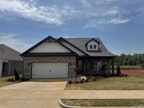 19942 Pebble Brook Lane, Athens, AL 35611