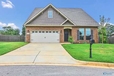 8785 NW Segers Trail Loop, Madison, AL 35756