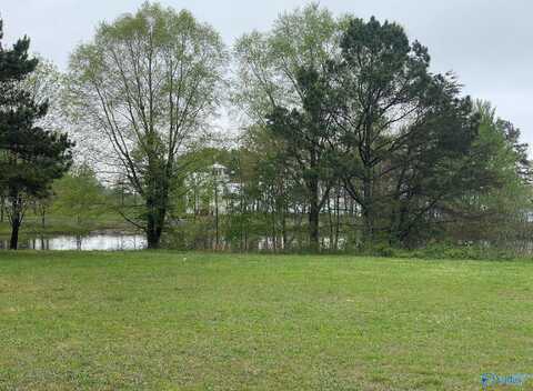 Lot 302 Main Street, Pisgah, AL 35765