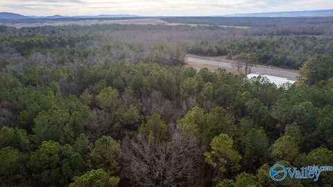 19 Acres Airport Road, Rainbow City, AL 35906