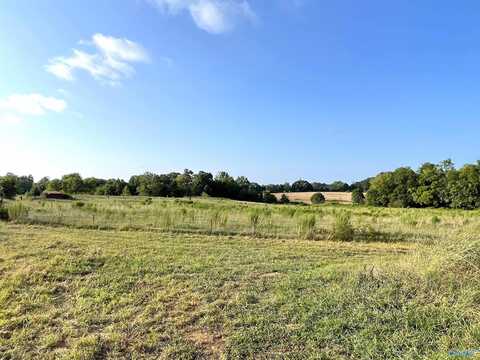 77 Acres Hwy 101, Lexington, AL 35648