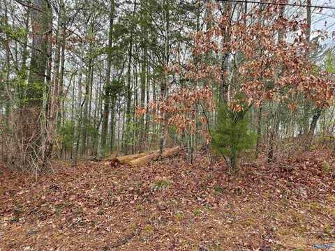 Lot 72 Hillcrest Drive, Scottsboro, AL 35769