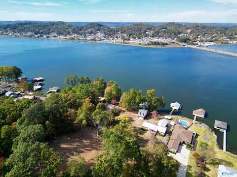 1605 Wyeth Drive, Guntersville, AL 35976